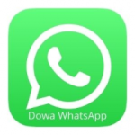 dowa whatsapp