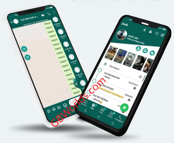 dowa whatsapp apk