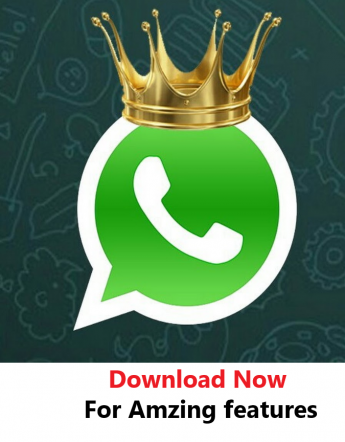 king whatsapp apk